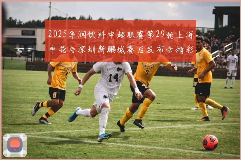 2025华润饮料中超联赛第29轮上海申花与深圳新鹏城赛后发布会精彩回顾与分析