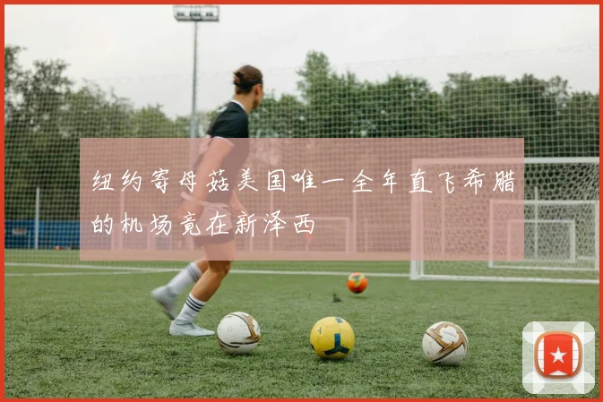 纽约寄母菇美国唯一全年直飞希腊的机场竟在新泽西