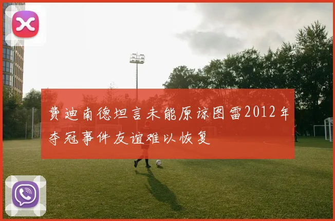 费迪南德坦言未能原谅图雷2012年夺冠事件友谊难以恢复