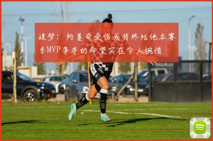 追梦：约基奇受伤或将终结他本赛季MVP争夺的希望实在令人惋惜