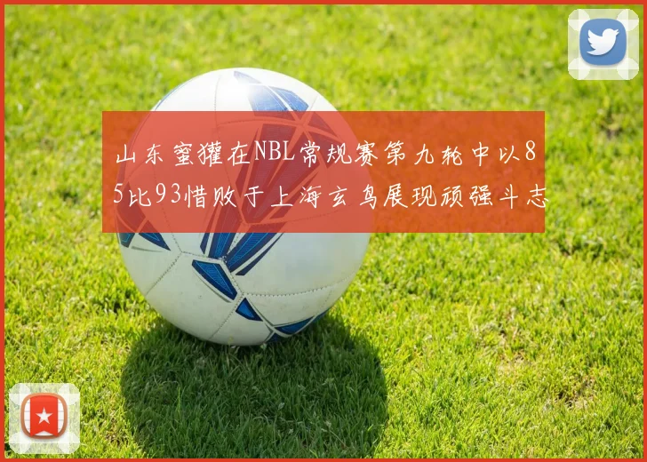 山东蜜獾在NBL常规赛第九轮中以85比93惜败于上海玄鸟展现顽强斗志